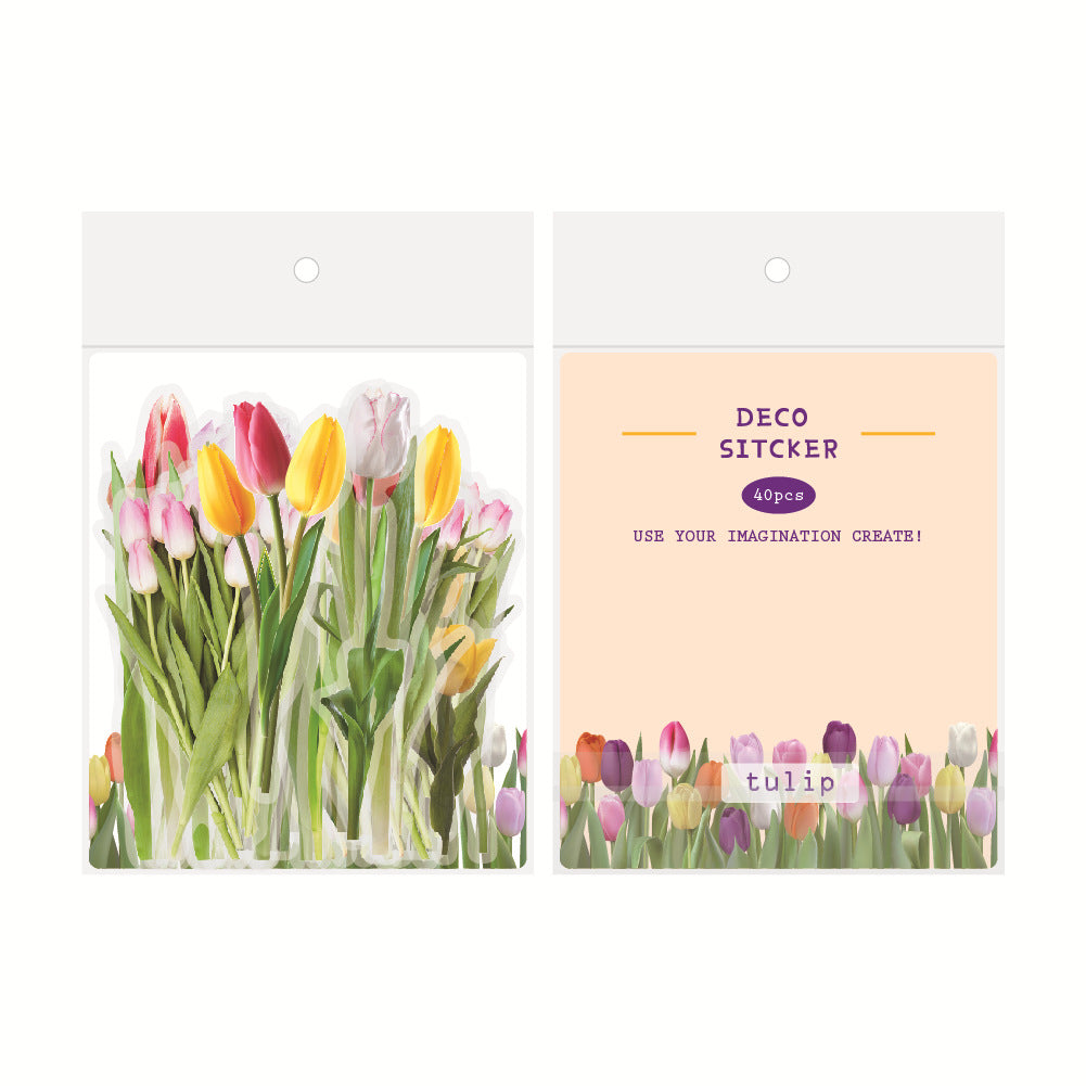 Botanical Flower Stickers Transparent PET Journal Set