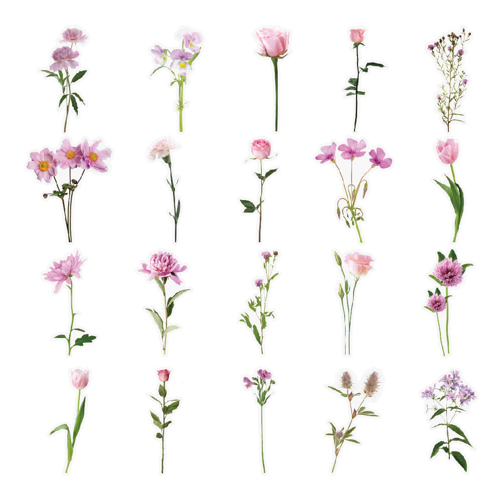 Botanical Flower Stickers Transparent PET Journal Set