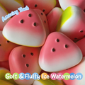 Watermelon Shape Squishy Slow Rising Stress Relief Toy