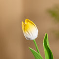 Handcrafted Ceramic Tulip Bloom Floral Stem Home Decor