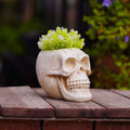 Resin Skull Planter Pot Creative Halloween Home Decoration