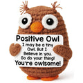 Handmade Crochet Owl Plush Positive Message Gift