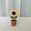 Valentine’s Day Crochet Potted Flowers Cute Gift Decor