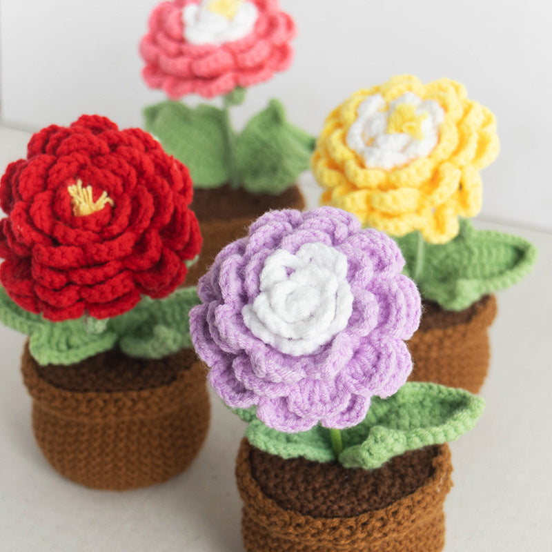 Valentine Handmade Crochet Ranunculus Potted Flower