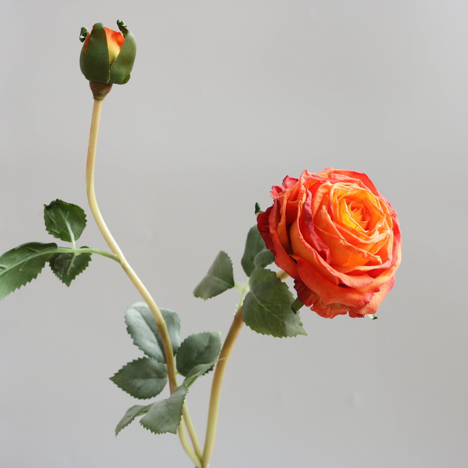 Valentine Faux Burnt Edge Rose Silk Flower Home Decor