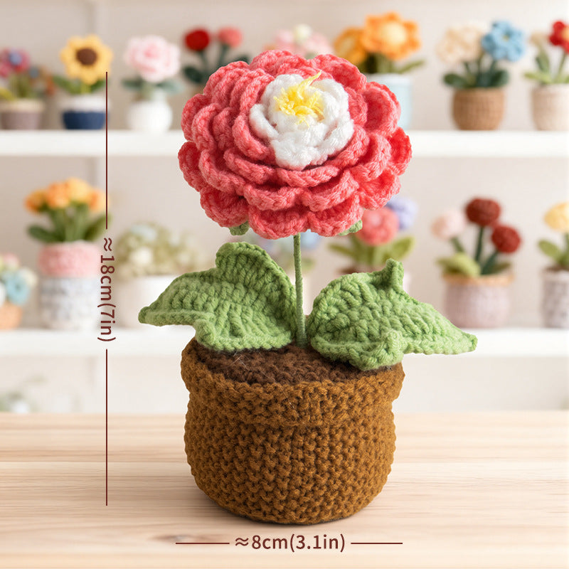 Valentine Handmade Crochet Ranunculus Potted Flower
