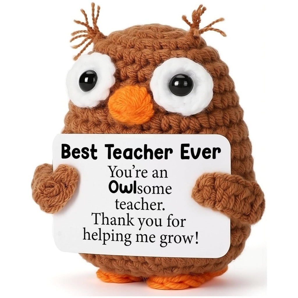 Handmade Crochet Owl Plush Positive Message Gift