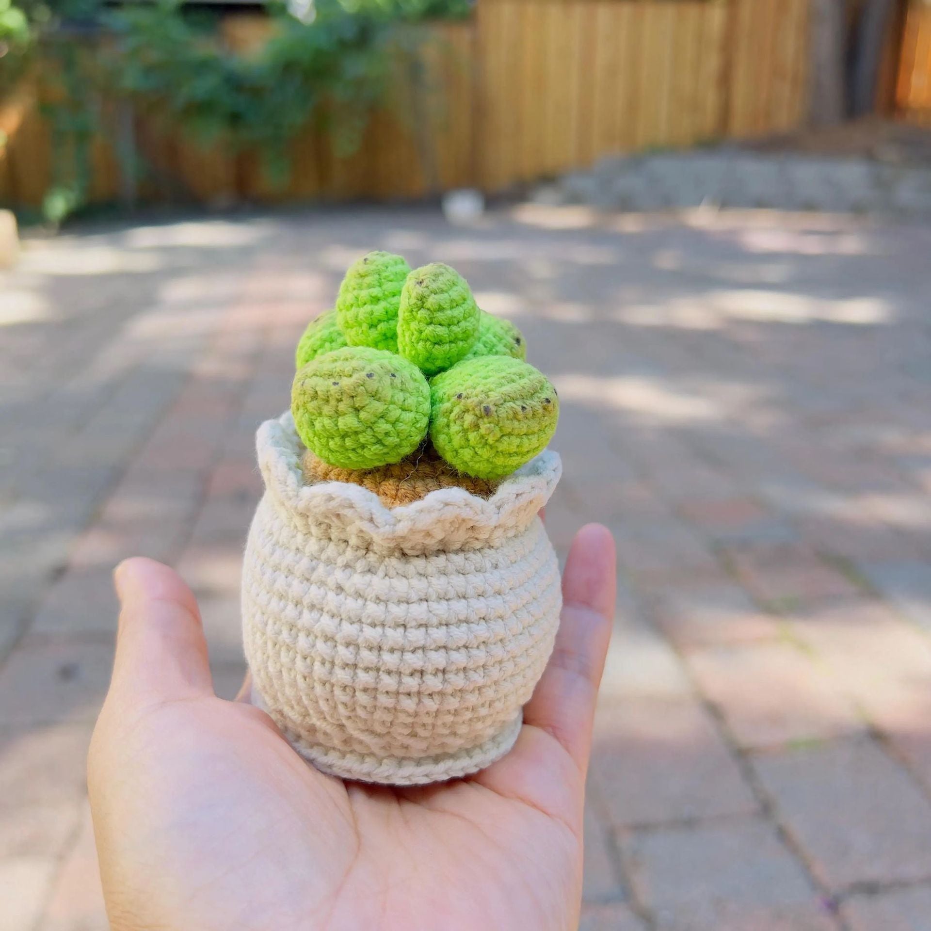 Handmade Crochet Succulent Plant Pot Desk Decor