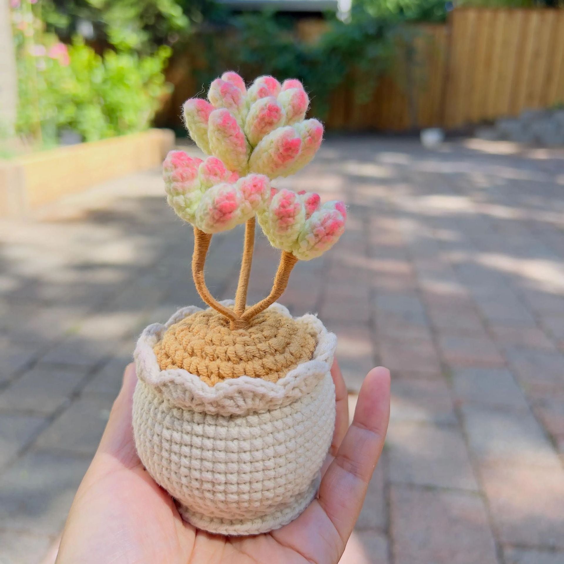 Handmade Crochet Succulent Plant Pot Desk Decor