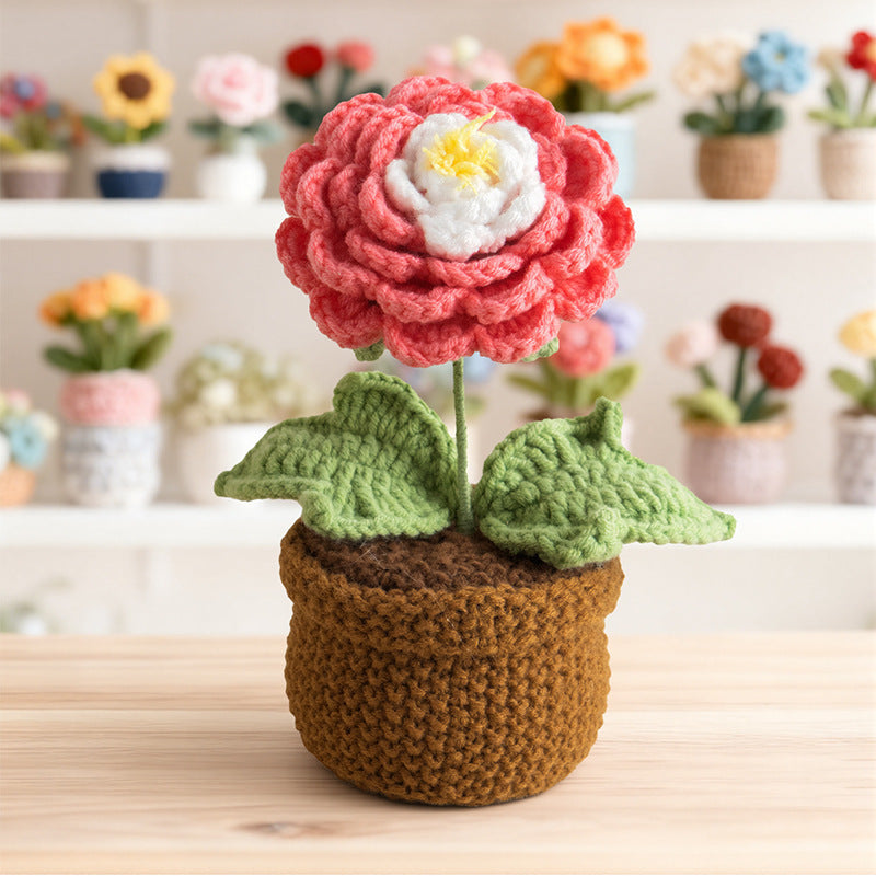 Valentine Handmade Crochet Ranunculus Potted Flower
