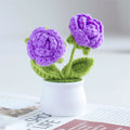 Valentine’s Day Handmade Knitted Flower Pot Gift Decor