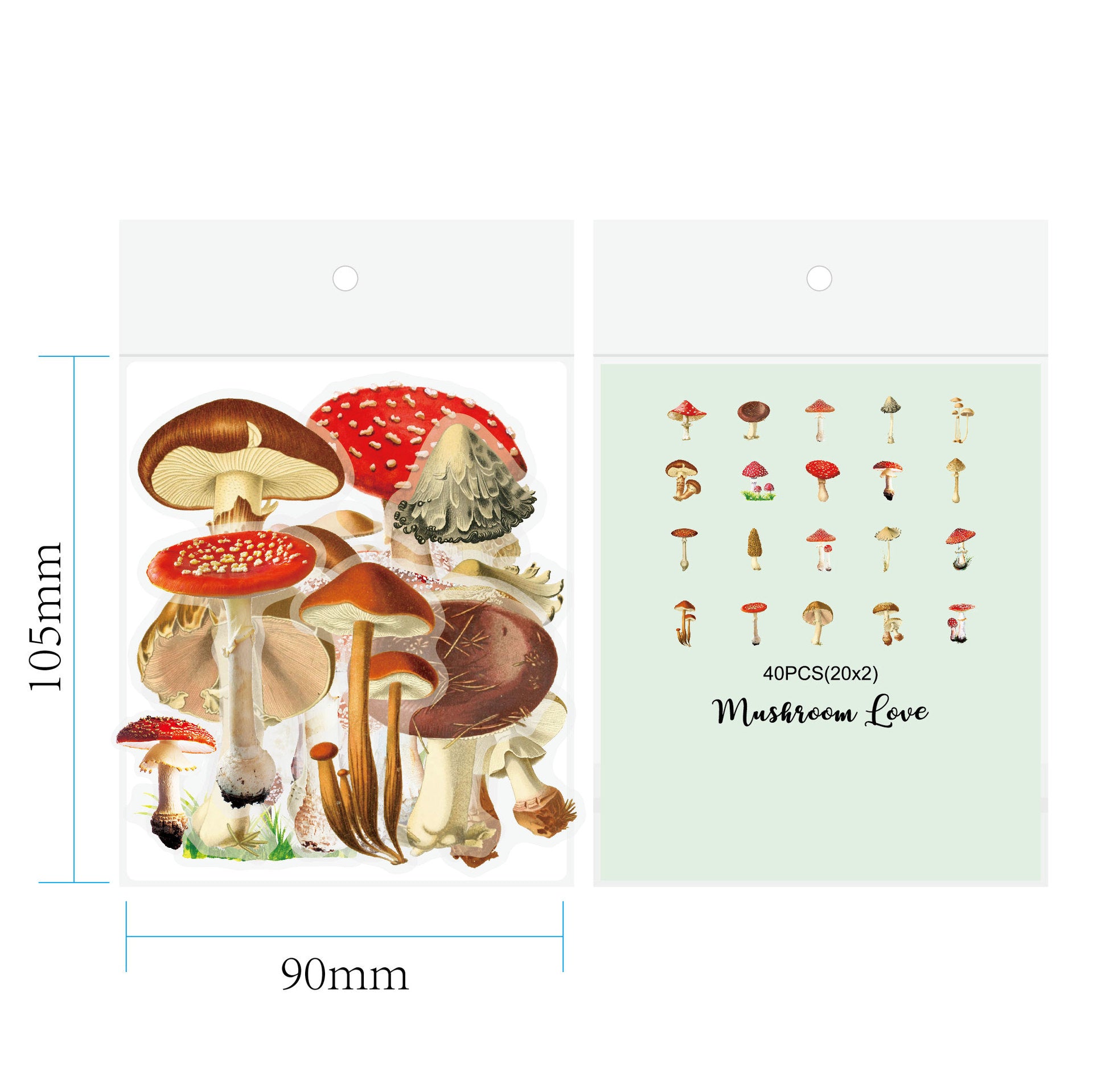 Botanical Flower Stickers Transparent PET Journal Set