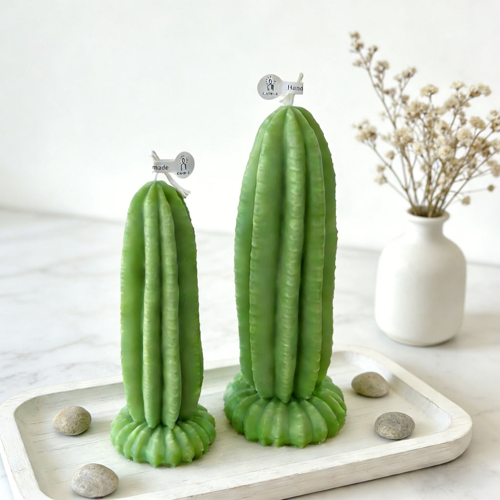 Cactus Candle Desert Plant Decor Minimalist Home Accent Gift
