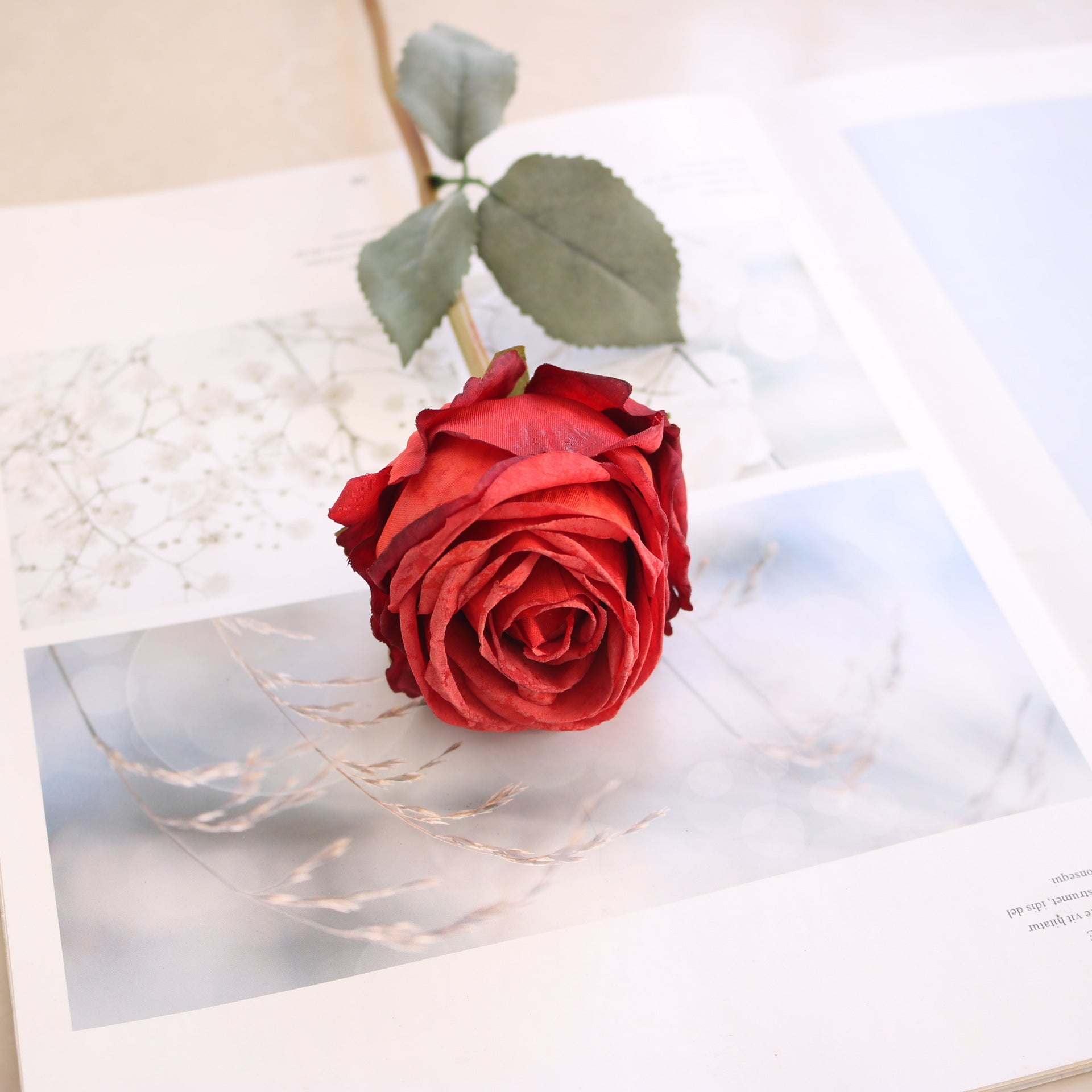 Valentine Single Stem Faux Burnt Edge Romantic Rose Decor