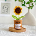 Valentine’s Day Crochet Heart Flower Pot Gift Decor