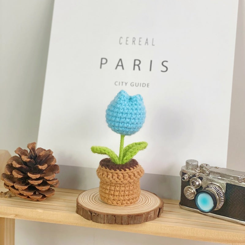 Valentine’s Day Crochet Potted Flower Gift Mini Home Decor