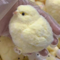 Fluffy Chick Squishy Toy Fast Rebound Stress Relief Toy