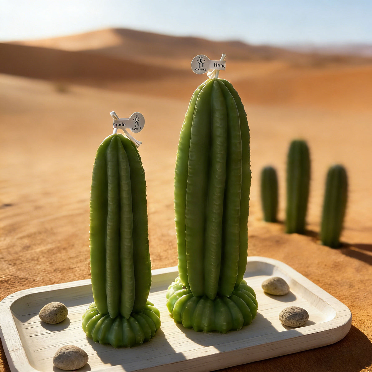 Cactus Candle Desert Plant Decor Minimalist Home Accent Gift