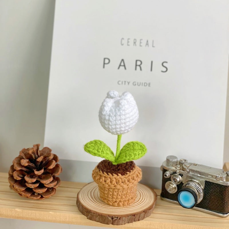 Valentine’s Day Crochet Potted Flower Gift Mini Home Decor