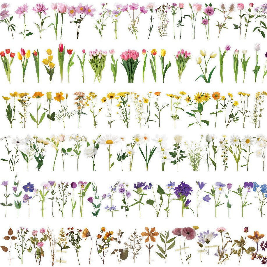 Botanical Flower Stickers Transparent PET Journal Set