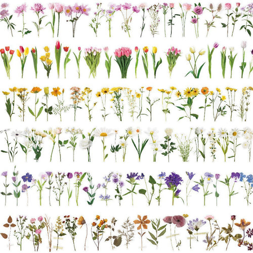 Botanical Flower Stickers Transparent PET Journal Set