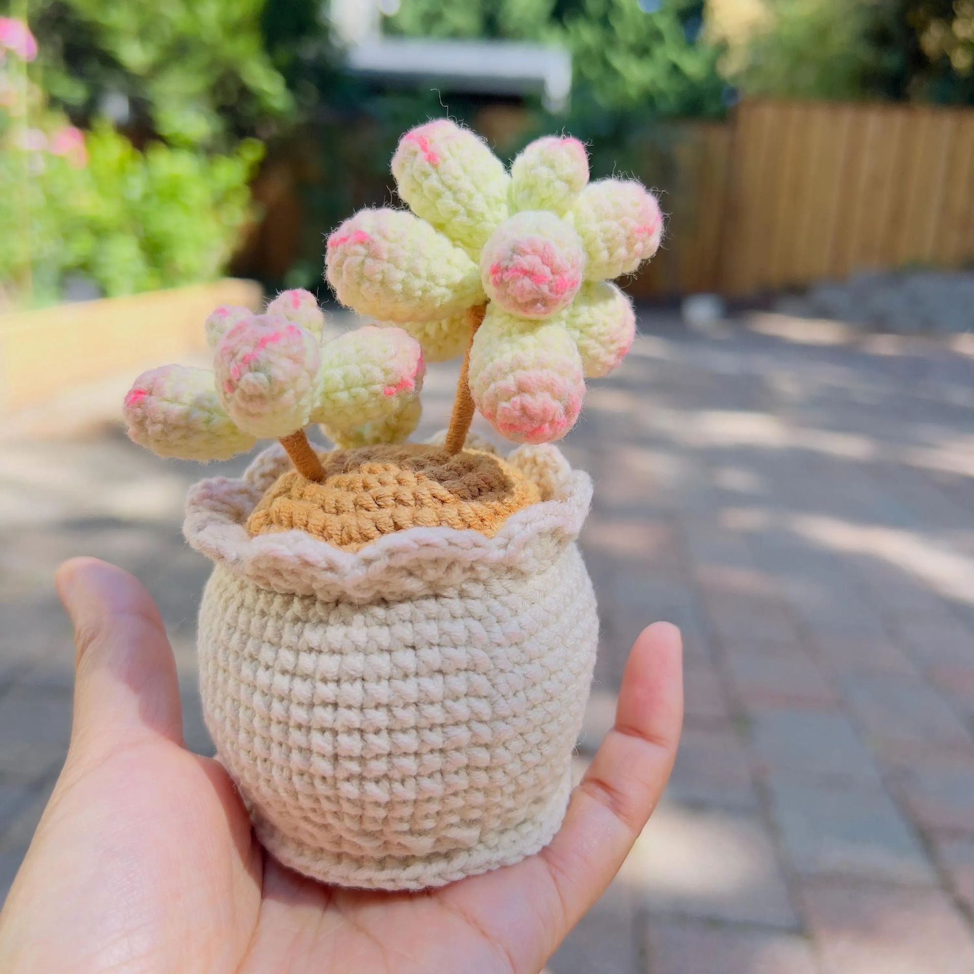 Handmade Crochet Succulent Plant Pot Desk Decor