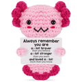 Handmade Crochet Axolotl Plush Positive Message Gift