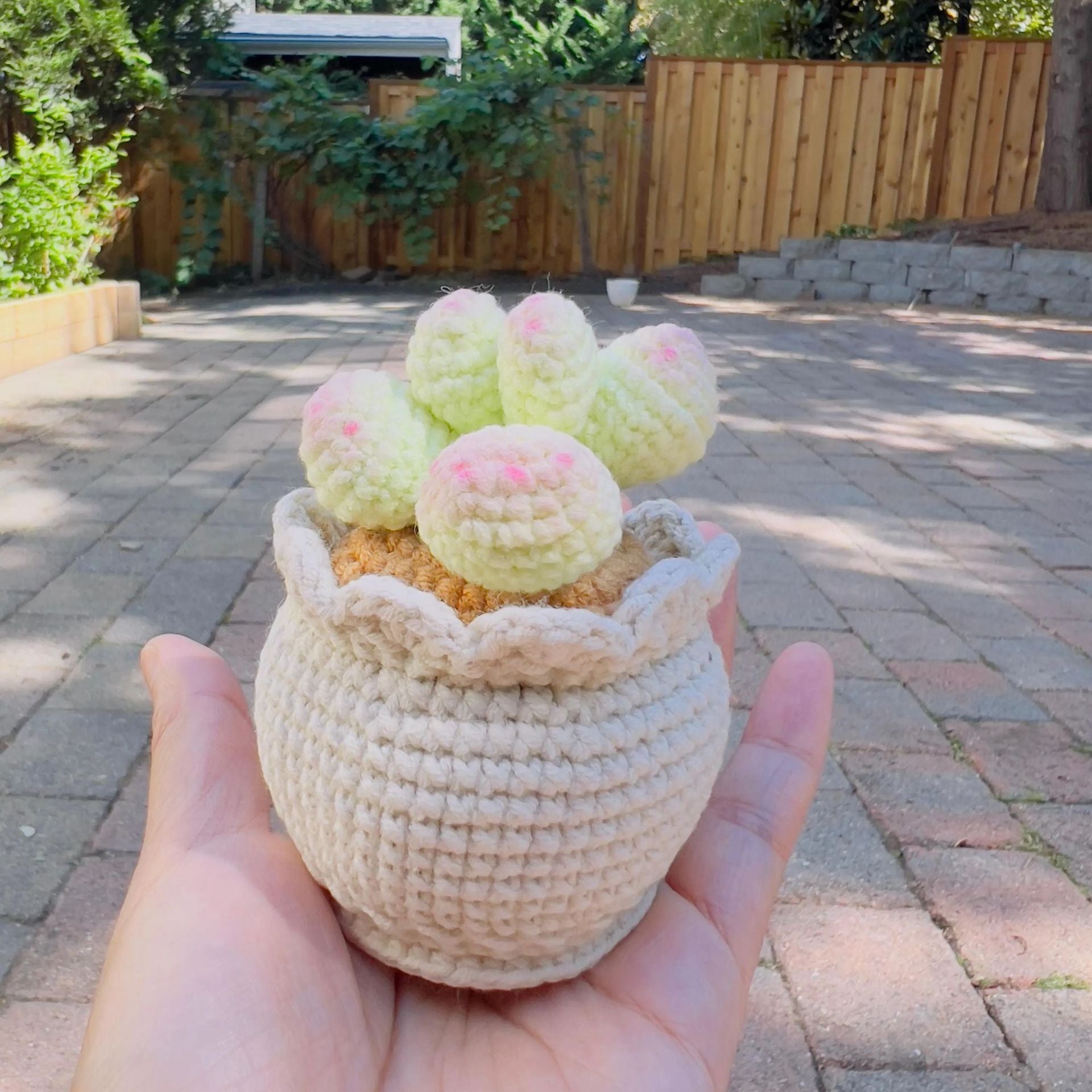 Handmade Crochet Succulent Plant Pot Desk Decor