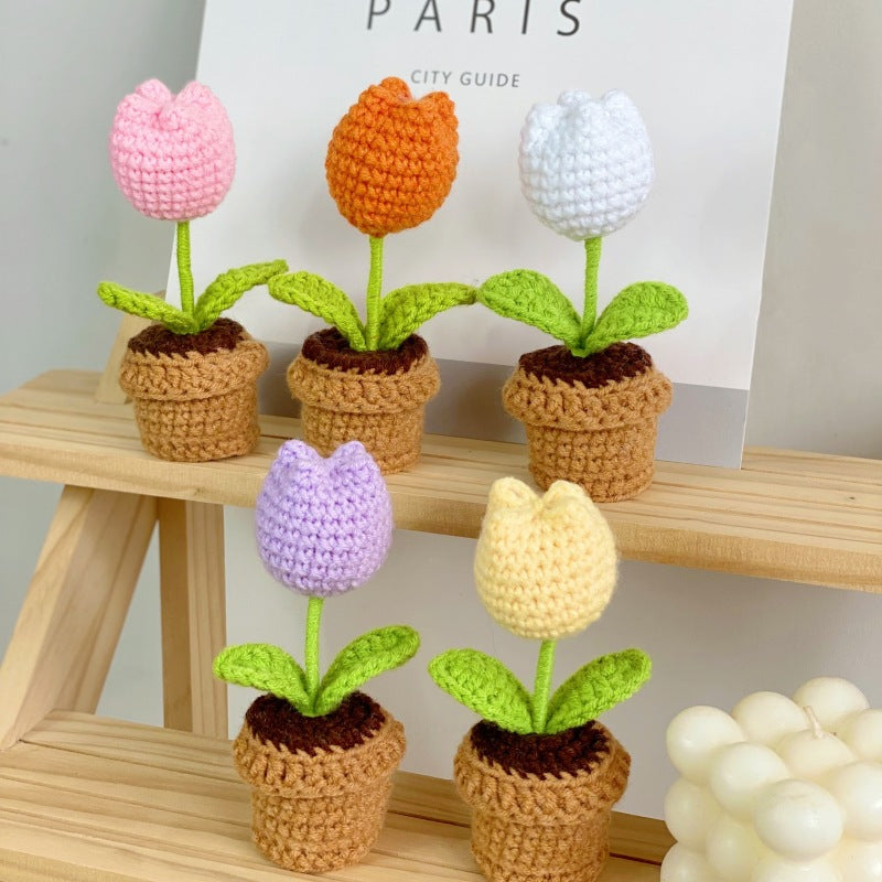 Valentine’s Day Crochet Potted Flower Gift Mini Home Decor
