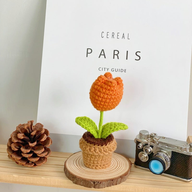 Valentine’s Day Crochet Potted Flower Gift Mini Home Decor