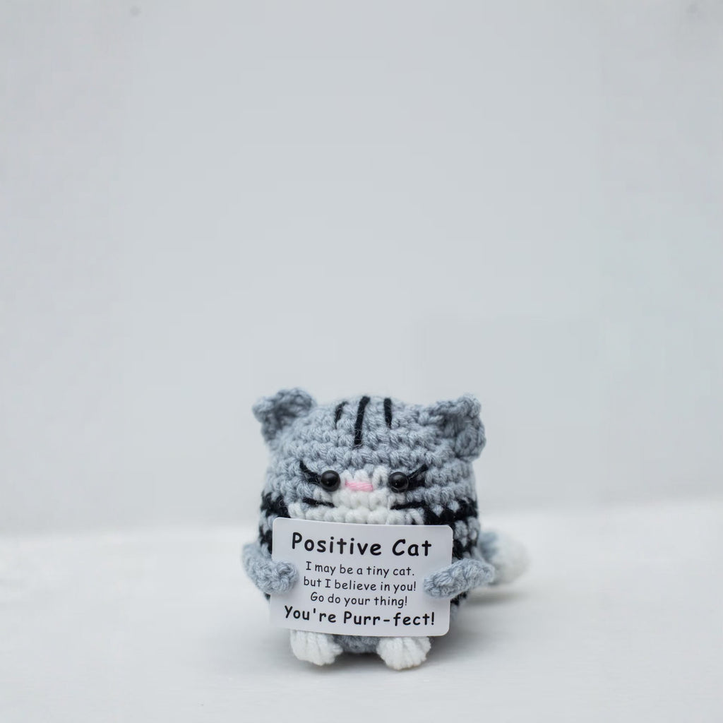 Crochet Plush Toy Cute Knitted Gift with Positive Message