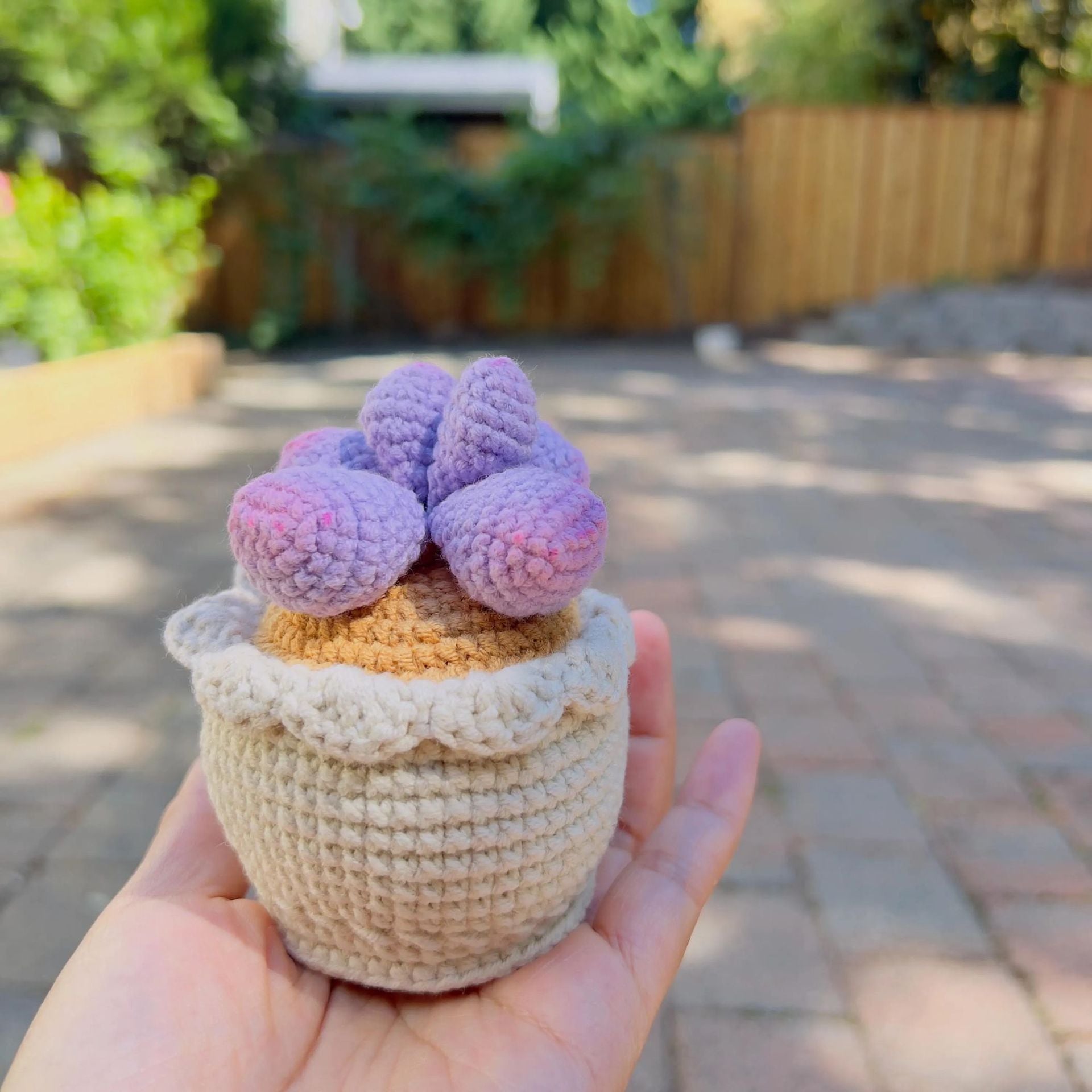 Handmade Crochet Succulent Plant Pot Desk Decor