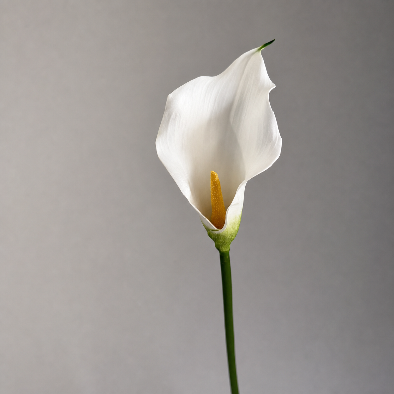 Calla Lily Faux Stem Wedding Home Decor Flower