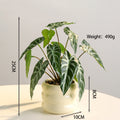 Artificial Green Plant in Donut Vase Tabletop Decor